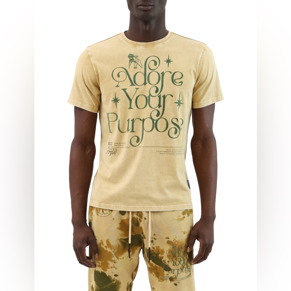 PRPS THE MISSIONS DISTRESSED TEE IN TAUPE M